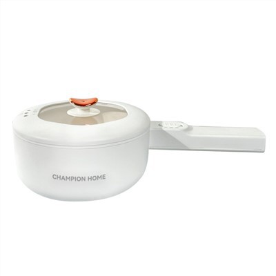 کثیر مقصدی الیکٹرک ککر