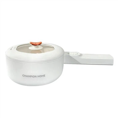 کثیر مقصدی الیکٹرک ککر